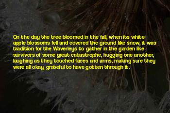 Quotes About Frost On The Ground