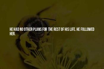 Quotes About Her Life