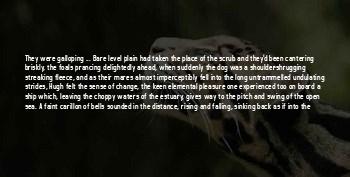Quotes About Mares And Foals