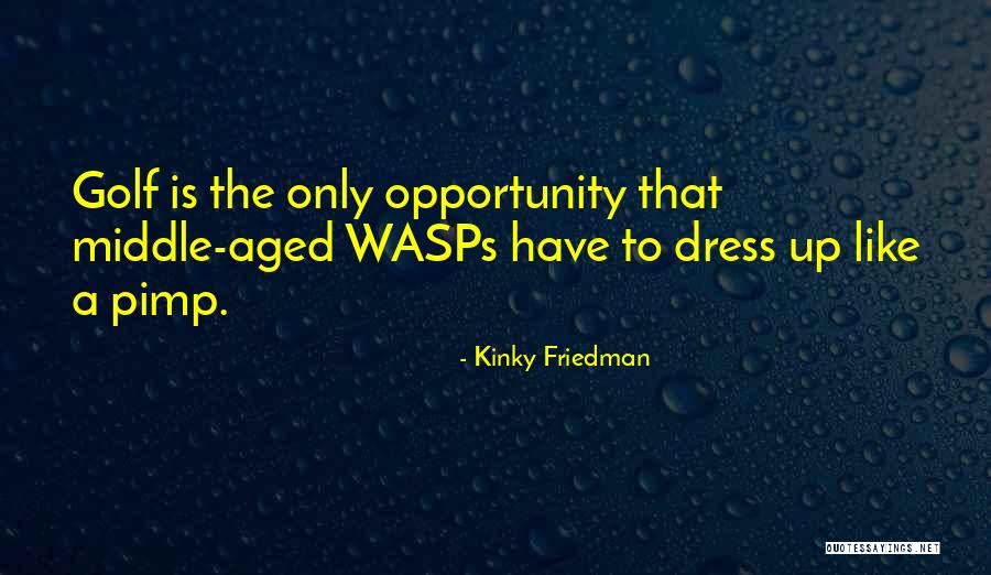00aeef Quotes By Kinky Friedman 00aeef Quotes By Kinky Friedman