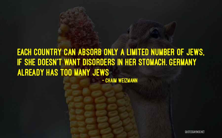 1 98e 14 Amendment Quotes By Chaim Weizmann