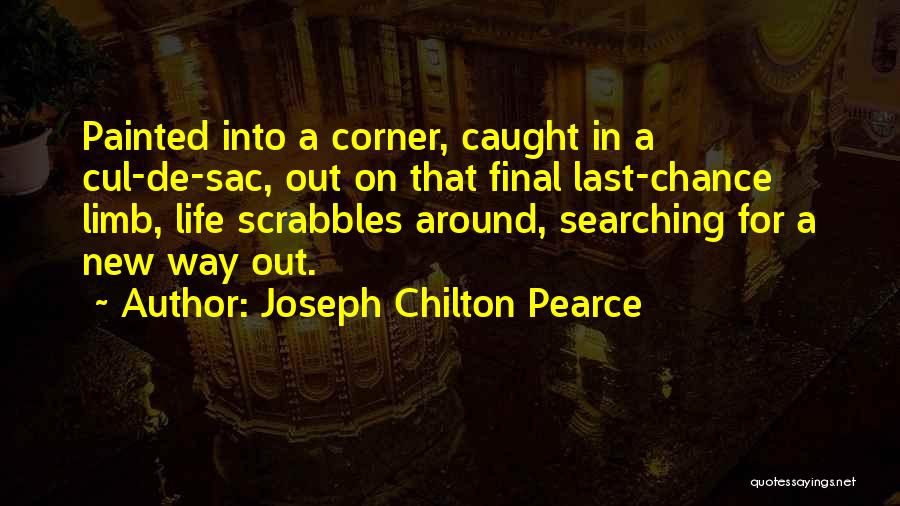 1 Last Chance Quotes By Joseph Chilton Pearce