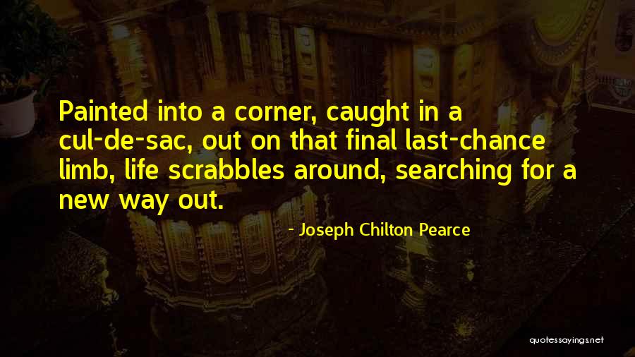 1 Last Chance Quotes By Joseph Chilton Pearce