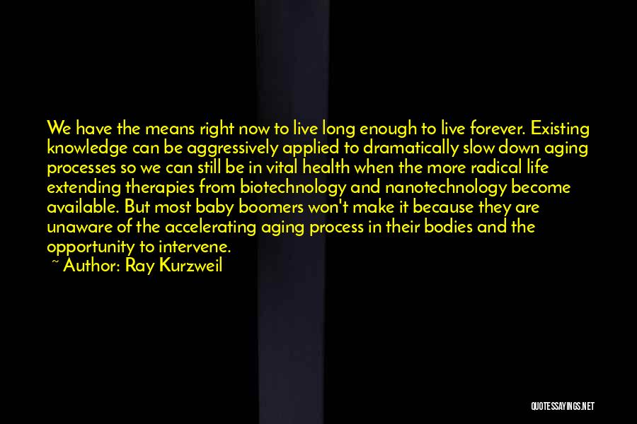 1 Life Live It Quotes By Ray Kurzweil