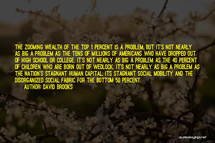 1 Percent Quotes By David Brooks