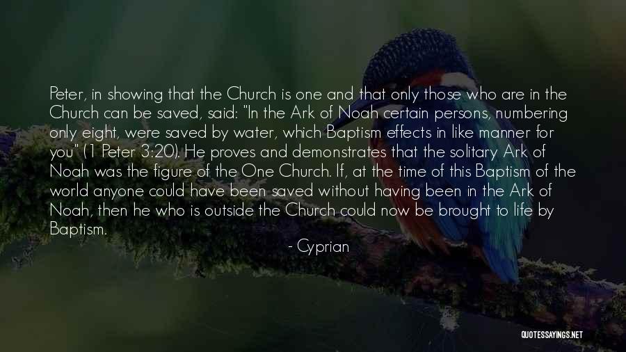 1 Peter 3 Quotes By Cyprian 1 Peter 3 Quotes By Cyprian