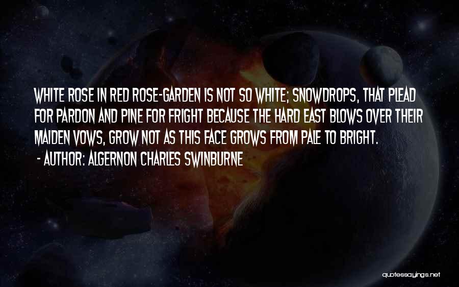 1 Red Rose Quotes By Algernon Charles Swinburne