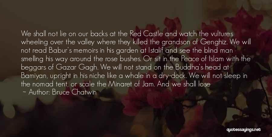 1 Red Rose Quotes By Bruce Chatwin