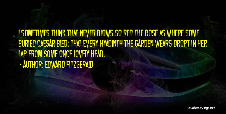 1 Red Rose Quotes By Edward FitzGerald