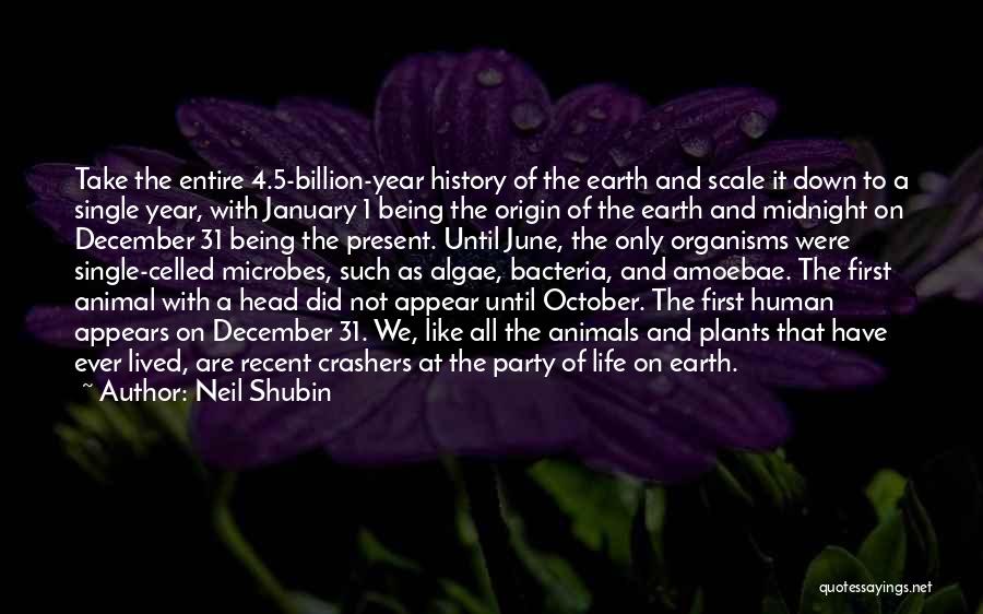 1 Year Quotes By Neil Shubin