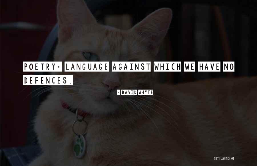 10 Solo Ads Quotes By David Whyte 10 Solo Ads Quotes By David Whyte