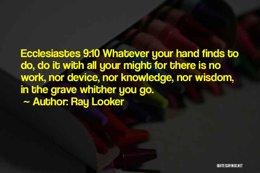 10 Wisdom Quotes By Ray Looker