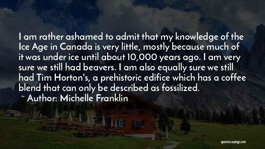 10 Years Ago Quotes By Michelle Franklin