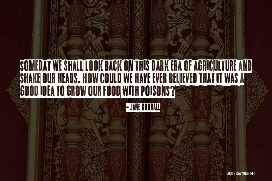 100 Rubicon Quotes By Jane Goodall 100 Rubicon Quotes By Jane Goodall