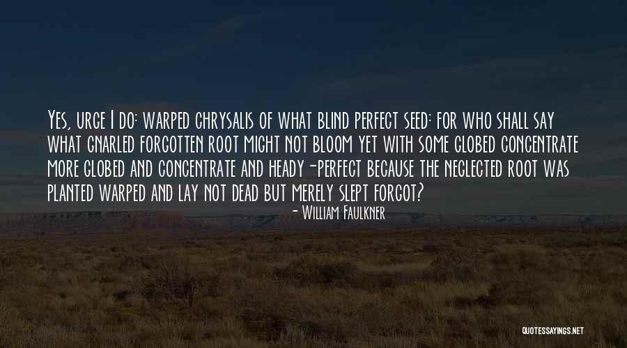 100 Stars Quotes By William Faulkner 100 Stars Quotes By William Faulkner