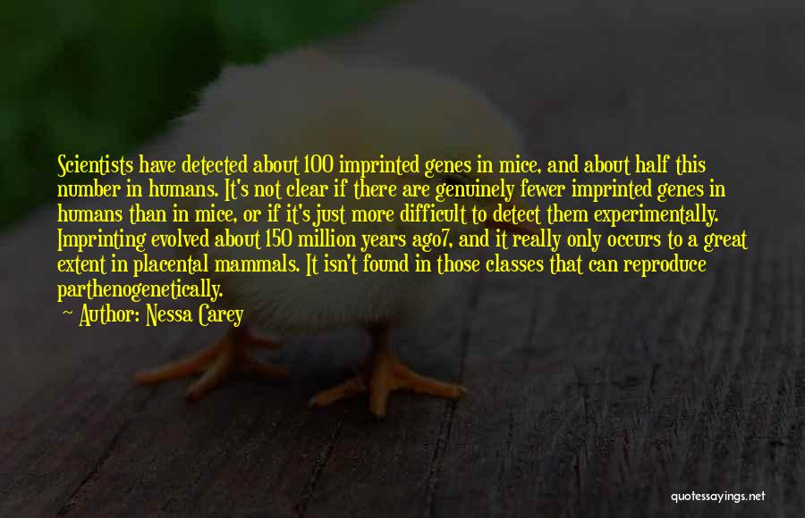 100 Years From Now Quotes By Nessa Carey