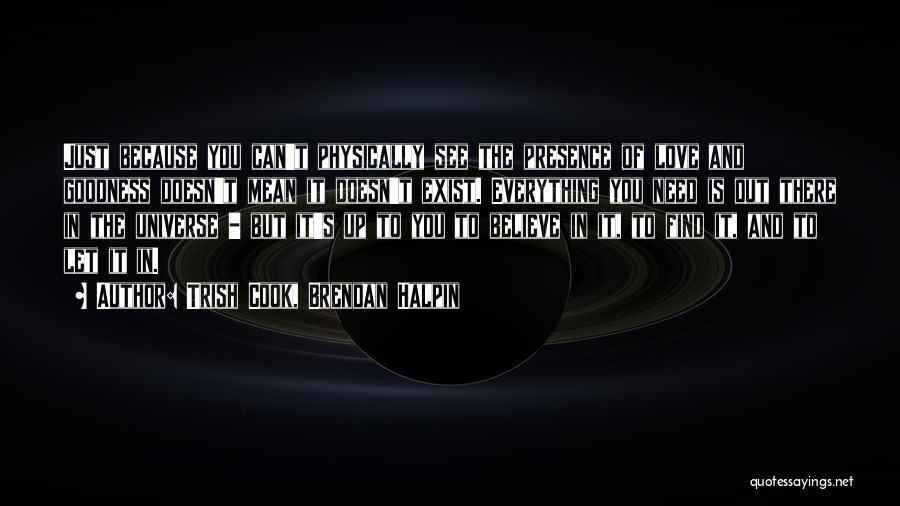 Trish Cook, Brendan Halpin Quotes: Just Because You Can't Physically See The Presence Of Love And Goodness Doesn't Mean It Doesn't Exist. Everything You Need
