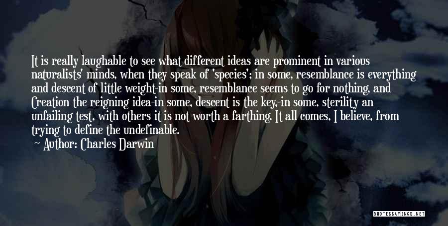 Charles Darwin Quotes: It Is Really Laughable To See What Different Ideas Are Prominent In Various Naturalists' Minds, When They Speak Of 'species';