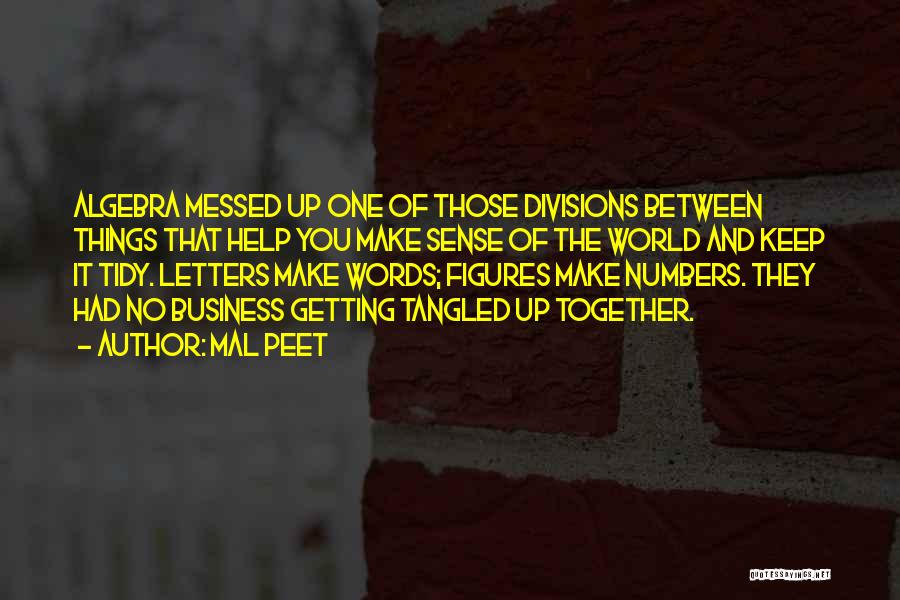 Mal Peet Quotes: Algebra Messed Up One Of Those Divisions Between Things That Help You Make Sense Of The World And Keep It