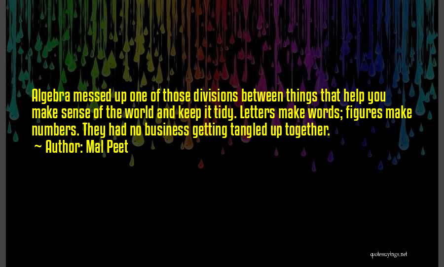 Mal Peet Quotes: Algebra Messed Up One Of Those Divisions Between Things That Help You Make Sense Of The World And Keep It