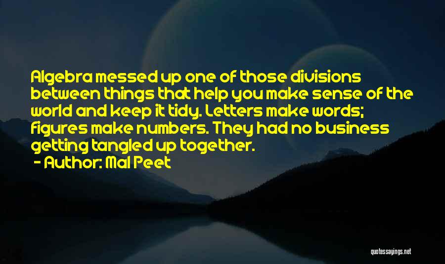 Mal Peet Quotes: Algebra Messed Up One Of Those Divisions Between Things That Help You Make Sense Of The World And Keep It