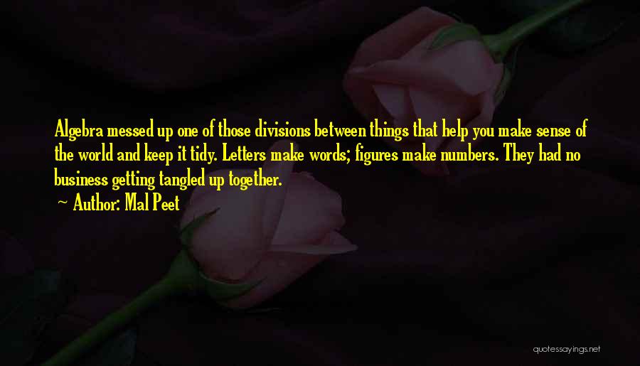 Mal Peet Quotes: Algebra Messed Up One Of Those Divisions Between Things That Help You Make Sense Of The World And Keep It