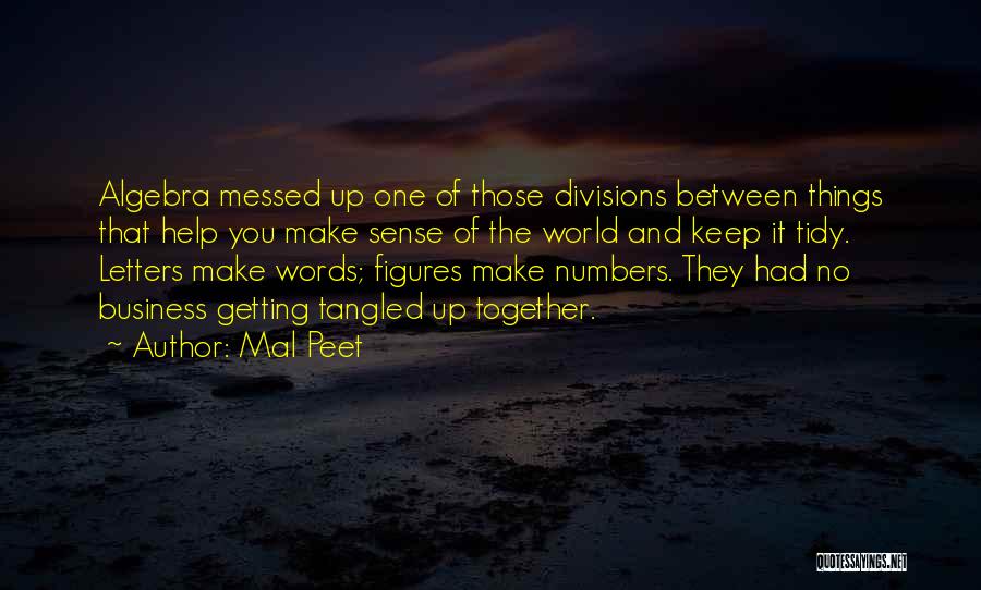 Mal Peet Quotes: Algebra Messed Up One Of Those Divisions Between Things That Help You Make Sense Of The World And Keep It