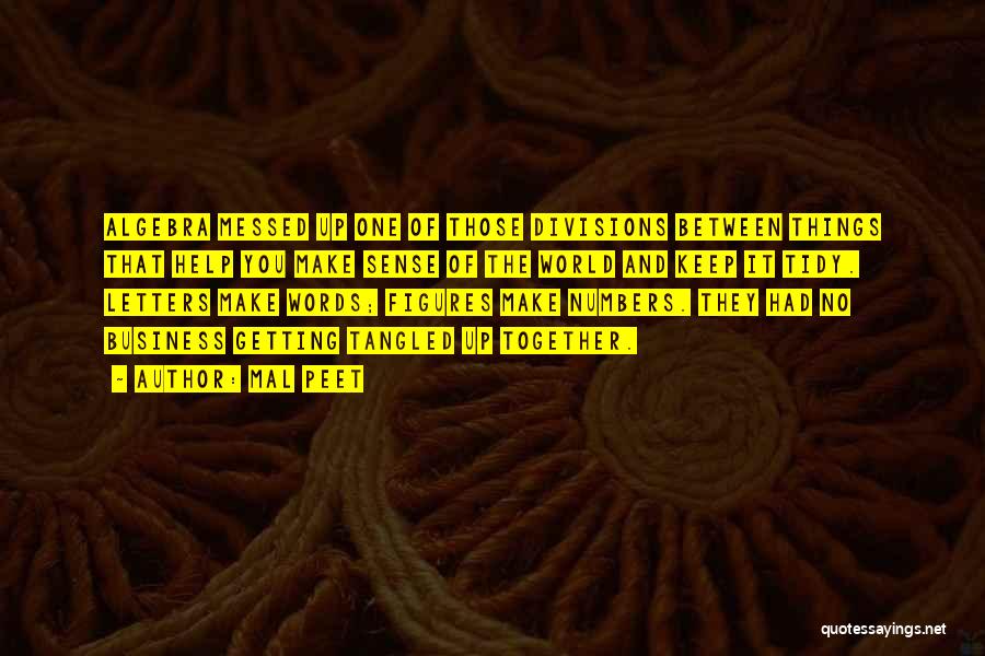 Mal Peet Quotes: Algebra Messed Up One Of Those Divisions Between Things That Help You Make Sense Of The World And Keep It