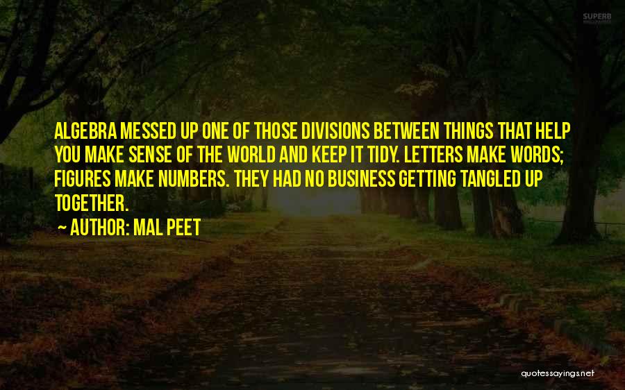 Mal Peet Quotes: Algebra Messed Up One Of Those Divisions Between Things That Help You Make Sense Of The World And Keep It