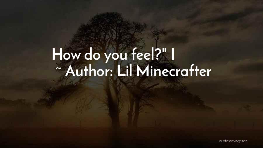 Lil Minecrafter Quotes: How Do You Feel? I