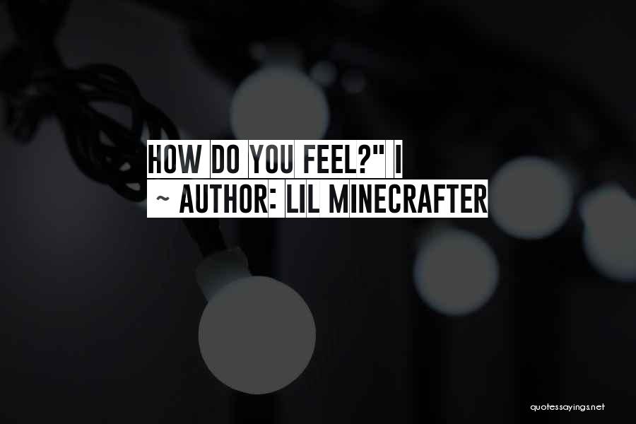 Lil Minecrafter Quotes: How Do You Feel? I