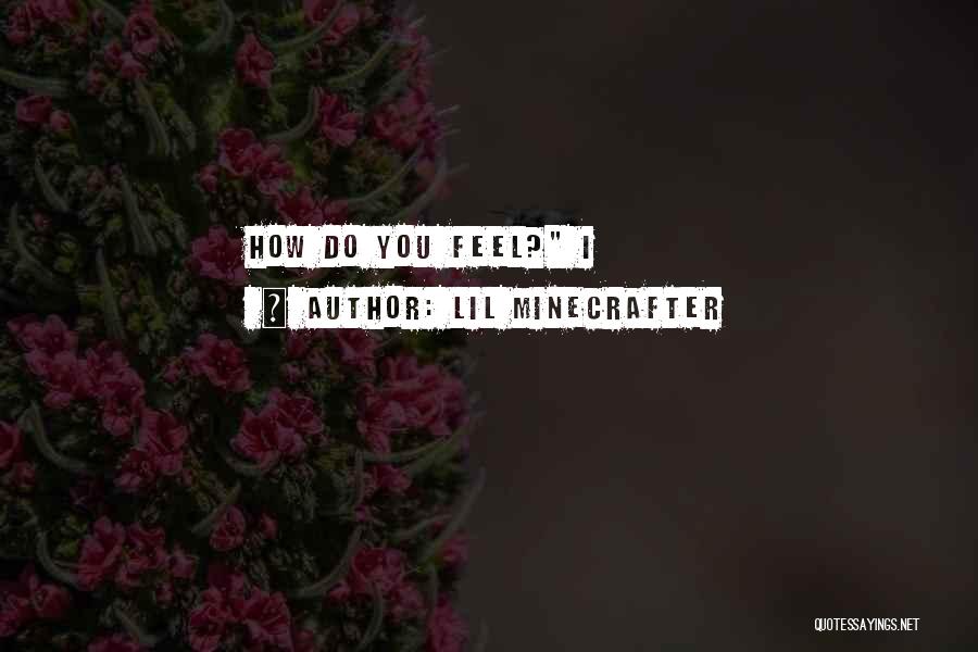 Lil Minecrafter Quotes: How Do You Feel? I