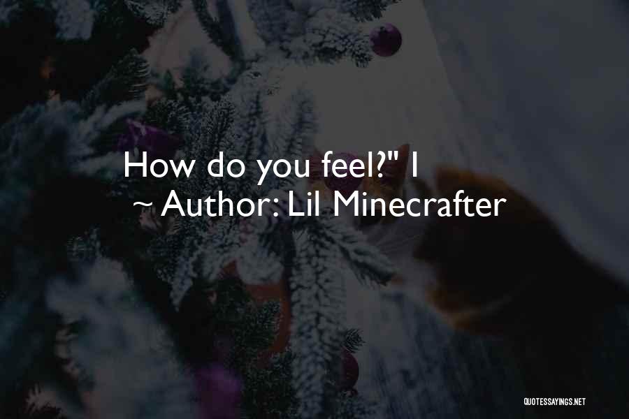Lil Minecrafter Quotes: How Do You Feel? I