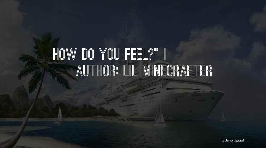 Lil Minecrafter Quotes: How Do You Feel? I
