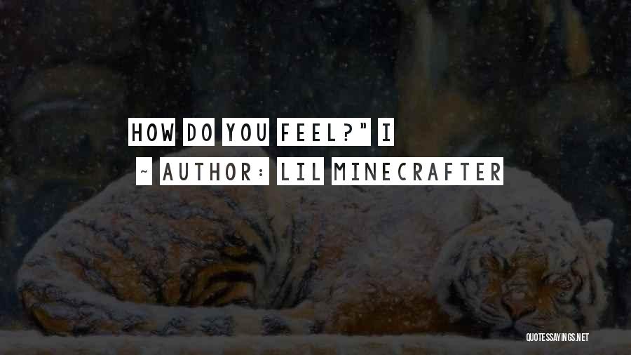 Lil Minecrafter Quotes: How Do You Feel? I