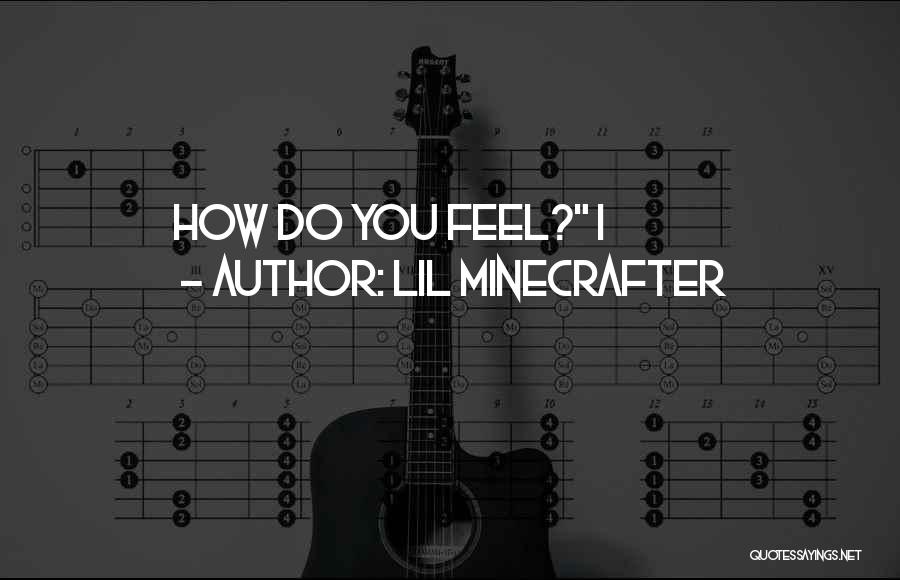 Lil Minecrafter Quotes: How Do You Feel? I