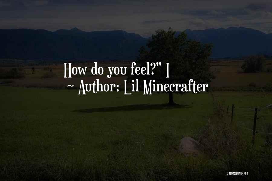Lil Minecrafter Quotes: How Do You Feel? I