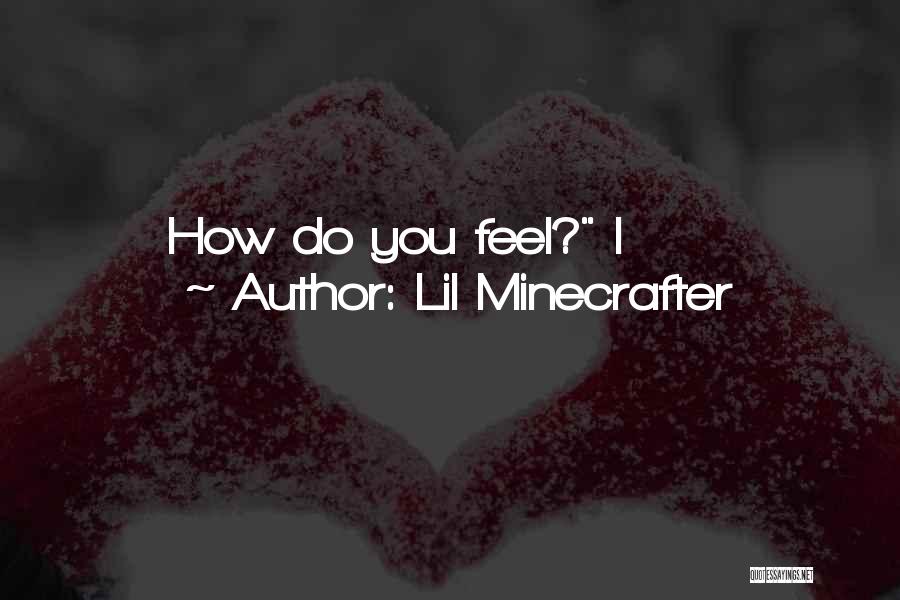 Lil Minecrafter Quotes: How Do You Feel? I