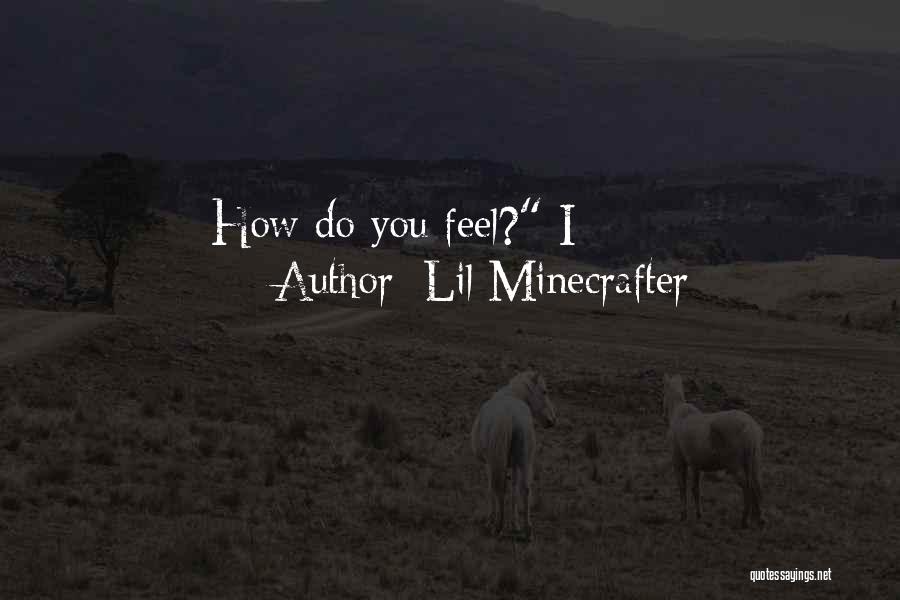 Lil Minecrafter Quotes: How Do You Feel? I