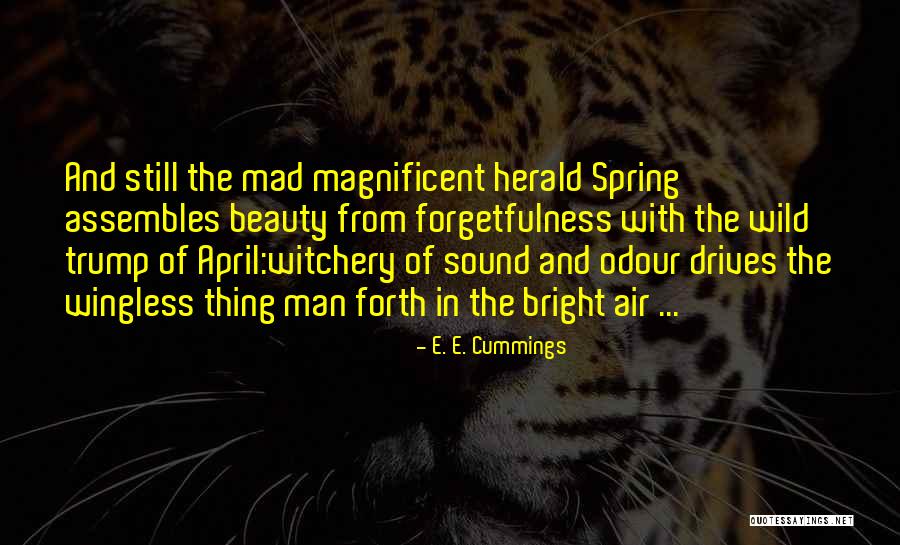 1001 Great Stories Quotes By E. E. Cummings 1001 Great Stories Quotes By E. E. Cummings
