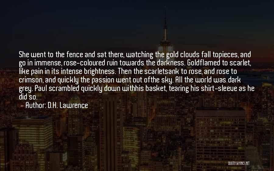 D.H. Lawrence Quotes: She Went To The Fence And Sat There, Watching The Gold Clouds Fall Topieces, And Go In Immense, Rose-coloured Ruin