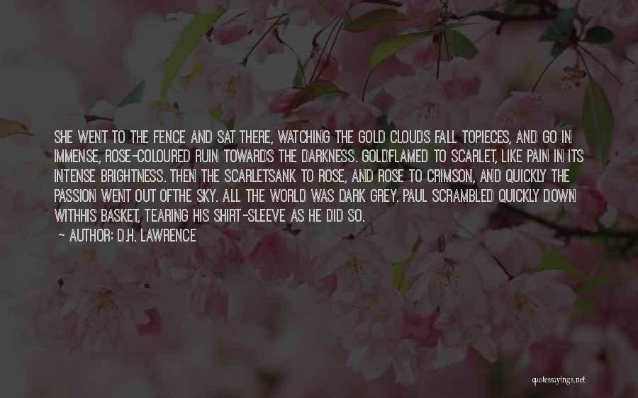 D.H. Lawrence Quotes: She Went To The Fence And Sat There, Watching The Gold Clouds Fall Topieces, And Go In Immense, Rose-coloured Ruin