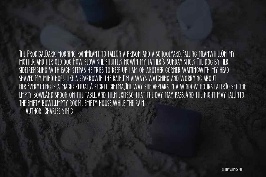 Charles Simic Quotes: The Prodigaldark Morning Rainmeant To Fallon A Prison And A Schoolyard,falling Meanwhileon My Mother And Her Old Dog.how Slow She