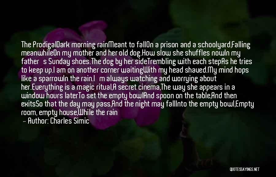 Charles Simic Quotes: The Prodigaldark Morning Rainmeant To Fallon A Prison And A Schoolyard,falling Meanwhileon My Mother And Her Old Dog.how Slow She