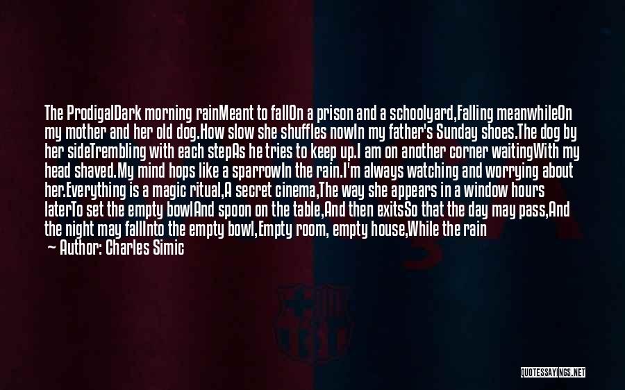 Charles Simic Quotes: The Prodigaldark Morning Rainmeant To Fallon A Prison And A Schoolyard,falling Meanwhileon My Mother And Her Old Dog.how Slow She