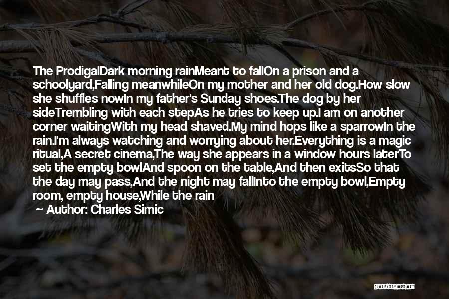 Charles Simic Quotes: The Prodigaldark Morning Rainmeant To Fallon A Prison And A Schoolyard,falling Meanwhileon My Mother And Her Old Dog.how Slow She