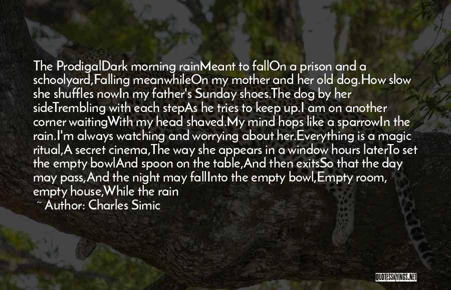 Charles Simic Quotes: The Prodigaldark Morning Rainmeant To Fallon A Prison And A Schoolyard,falling Meanwhileon My Mother And Her Old Dog.how Slow She