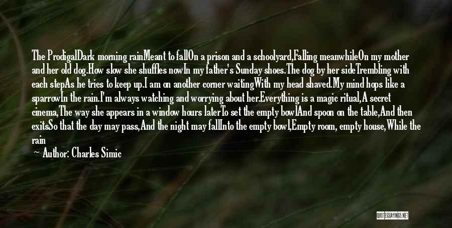 Charles Simic Quotes: The Prodigaldark Morning Rainmeant To Fallon A Prison And A Schoolyard,falling Meanwhileon My Mother And Her Old Dog.how Slow She