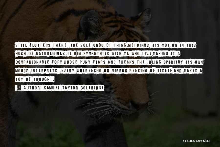 Samuel Taylor Coleridge Quotes: Still Flutters There, The Sole Unquiet Thing.methinks, Its Motion In This Hush Of Naturegives It Dim Sympathies With Me Who