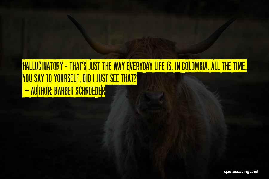 Barbet Schroeder Quotes: Hallucinatory - That's Just The Way Everyday Life Is, In Colombia. All The Time, You Say To Yourself, Did I